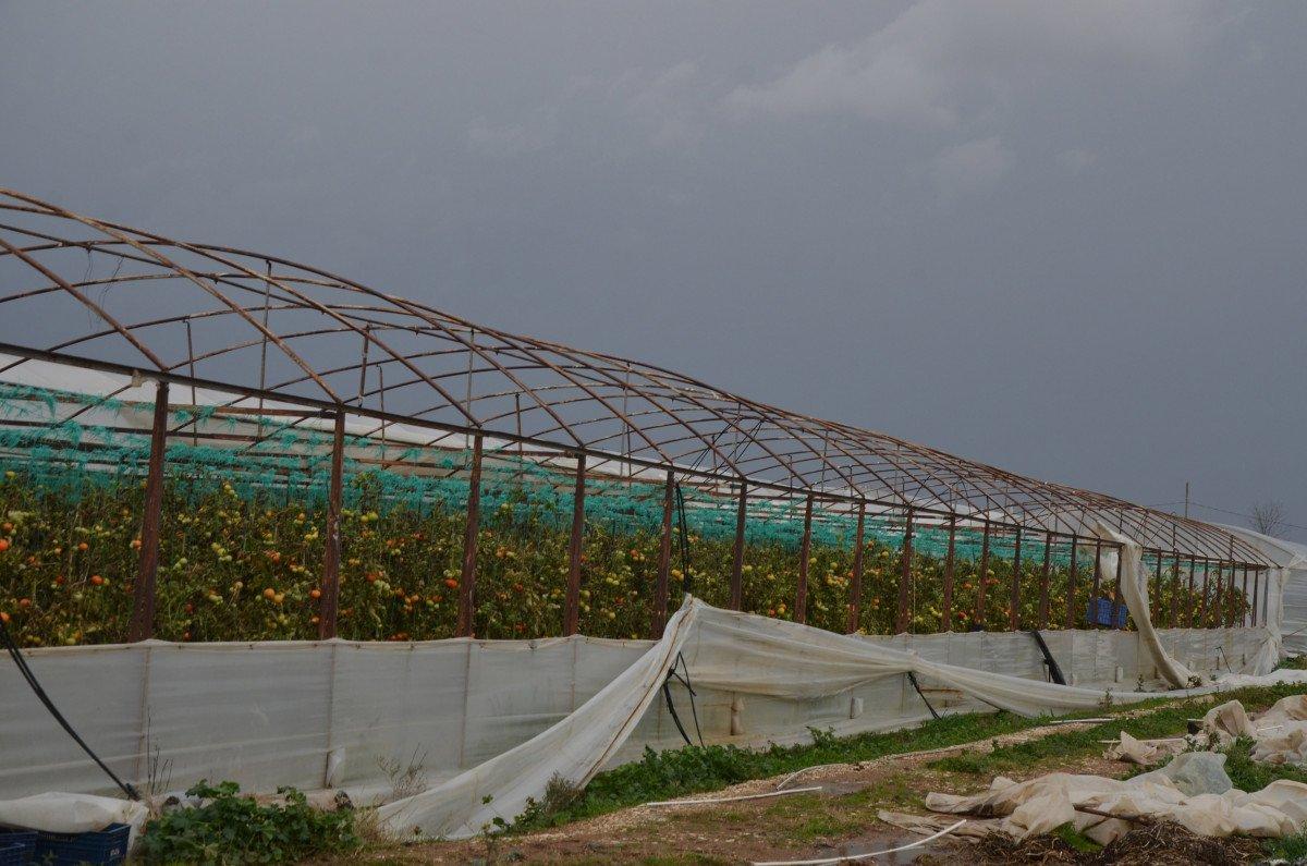 Antalya’da fırtına ve hortum, seraları yerle bir etti