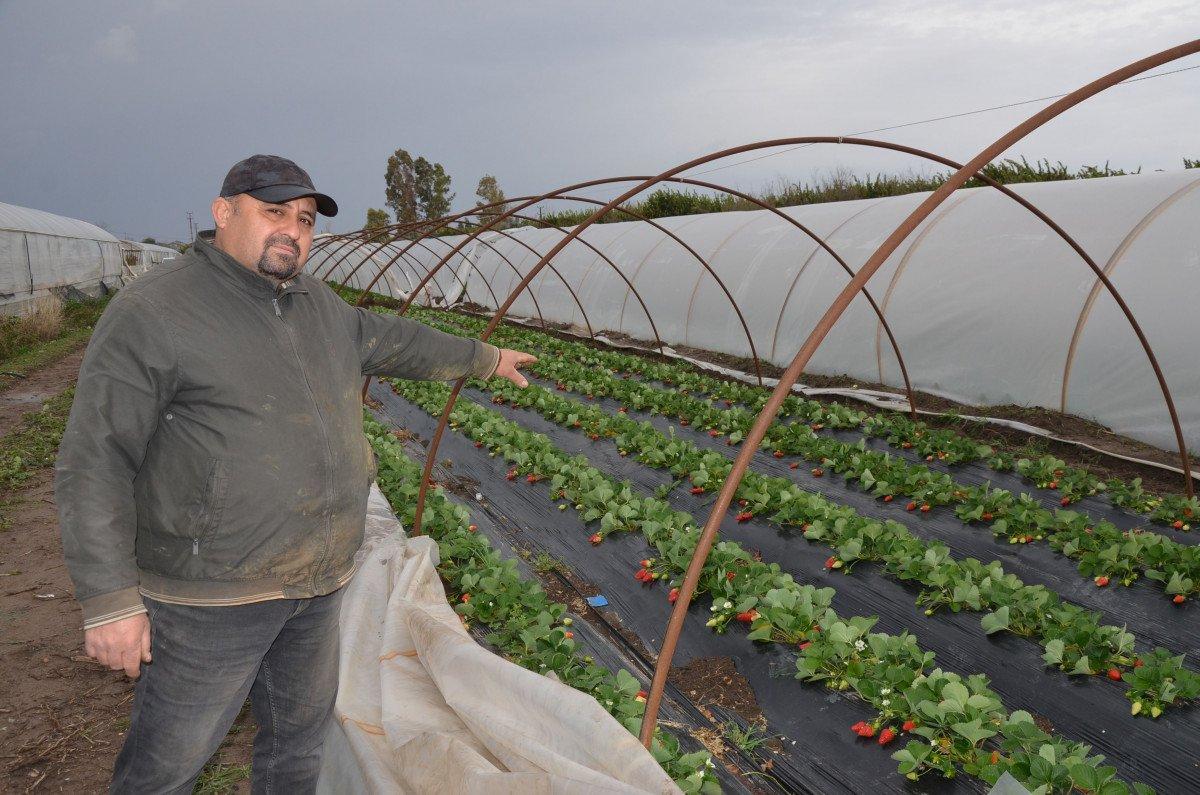 Antalya’da fırtına ve hortum, seraları yerle bir etti
