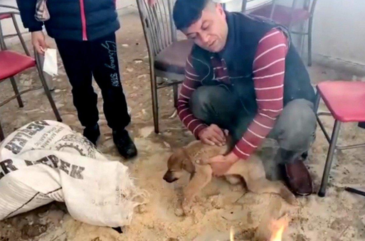 Osmaniye'de donmak üzere olan yavru köpek kurtarıldı