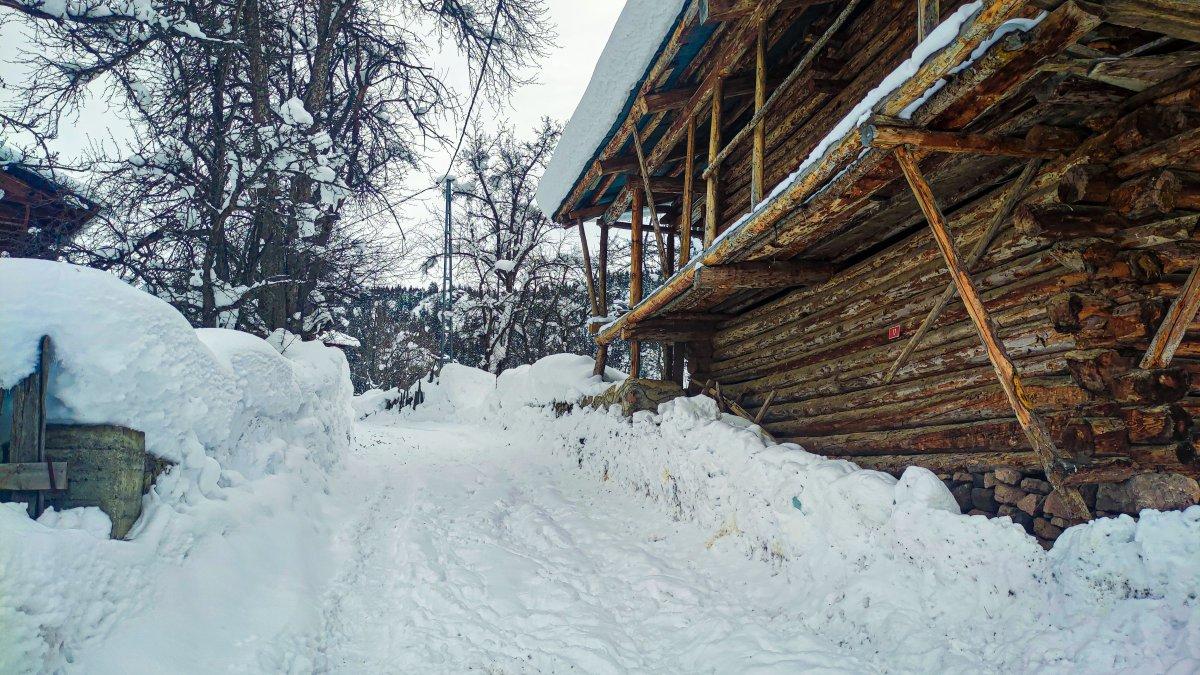 Artvin'deki köylüler, kışın da geleneksel yaşamı sürdürüyor