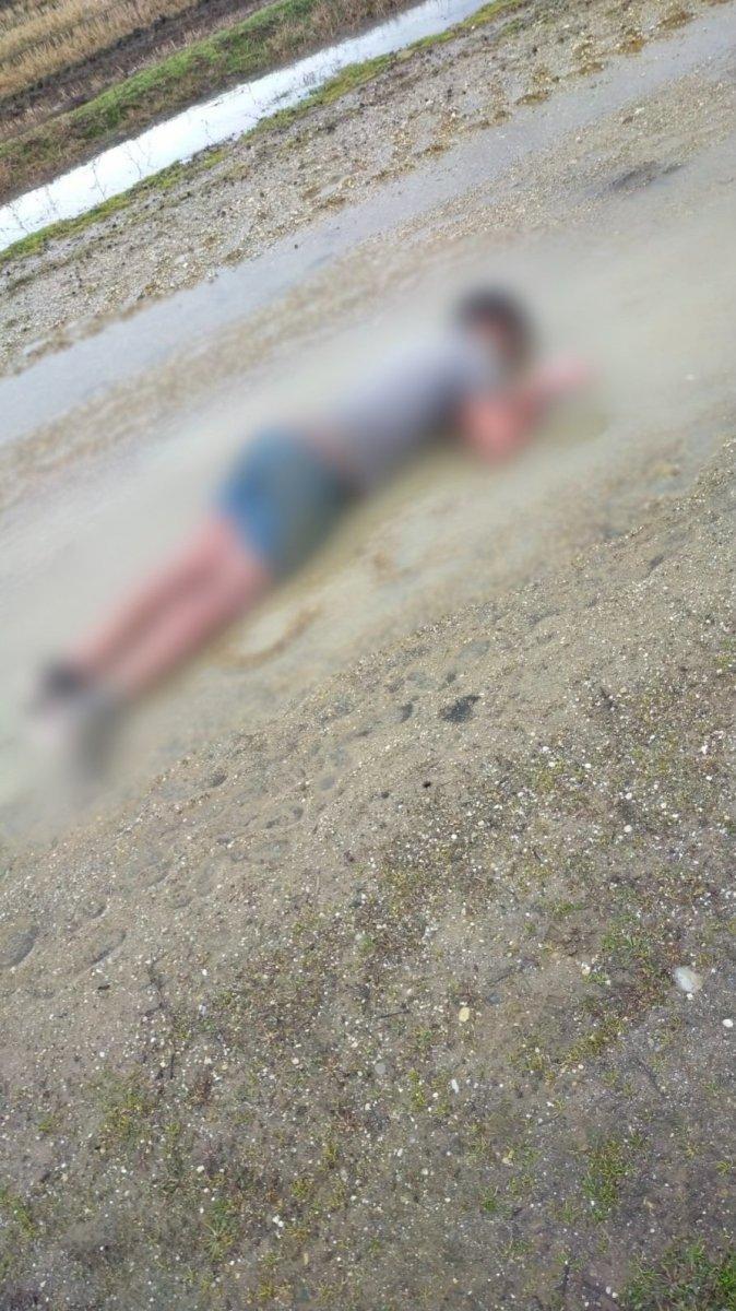 Yunanistan’ın göçmen zulmüne uluslararası tepki, dolaylı ve sınırlı oldu