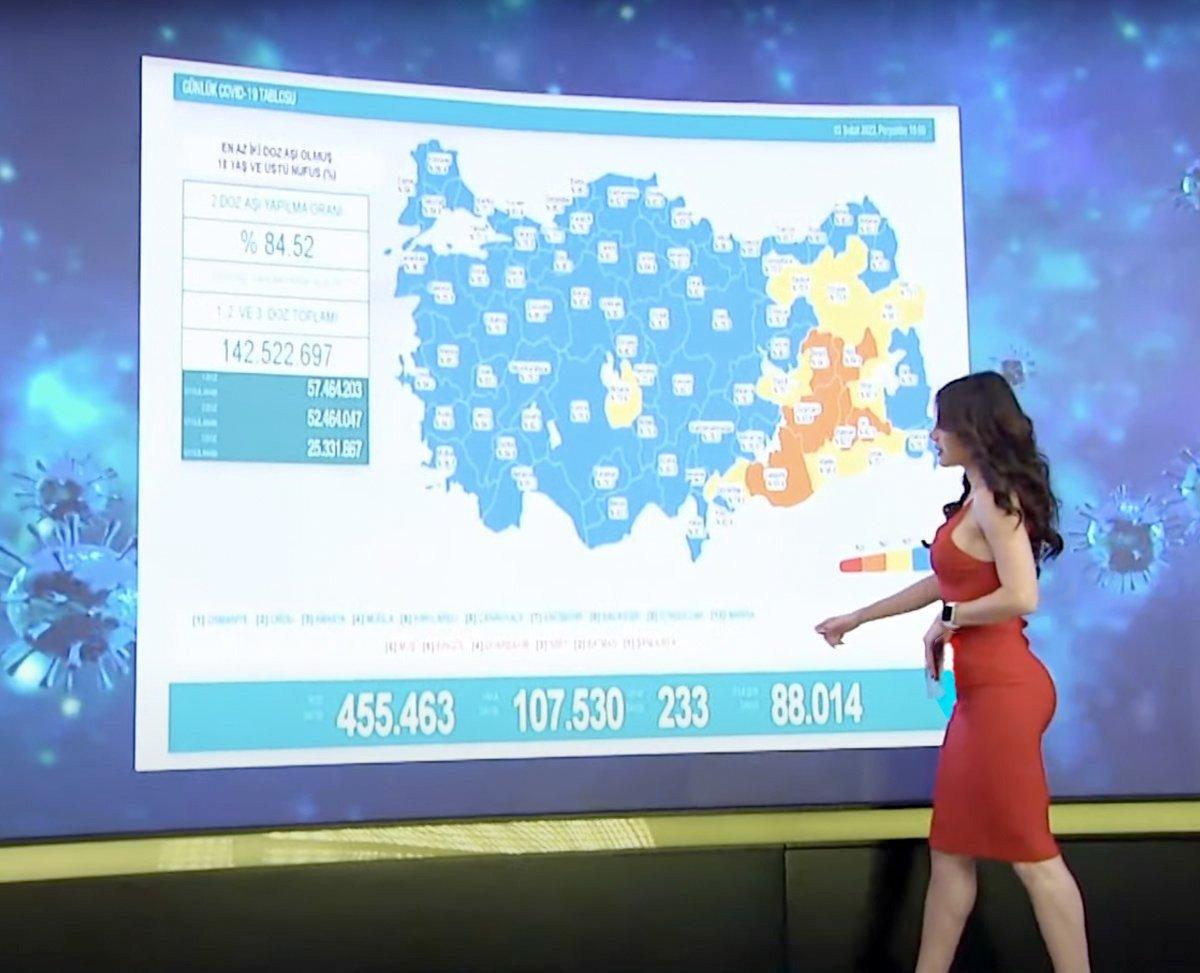 Türkiye'de koronavirüs vaka sayısında rekor artışlar