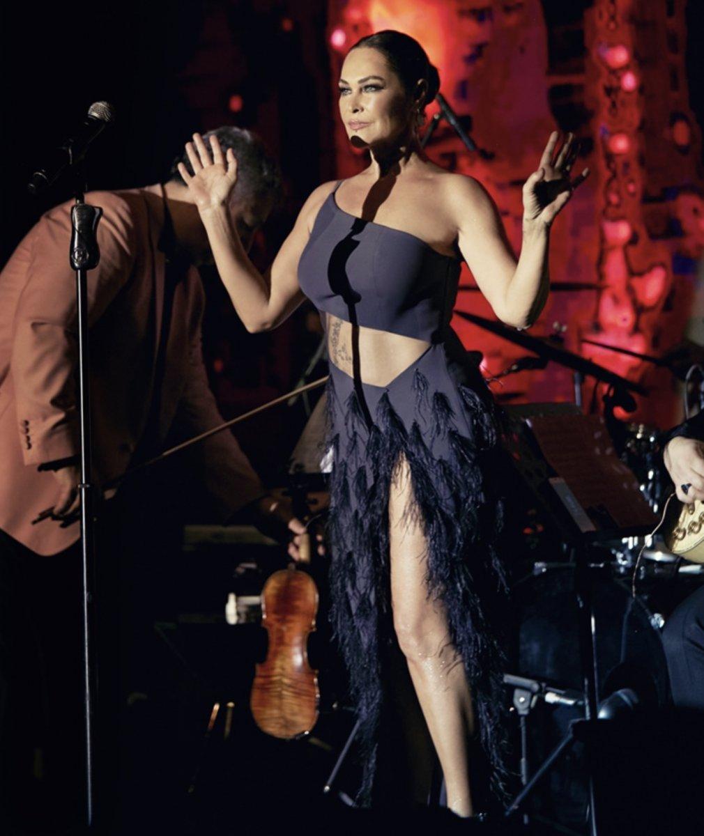 Hülya Avşar'ın şaşırtan taciz açıklaması