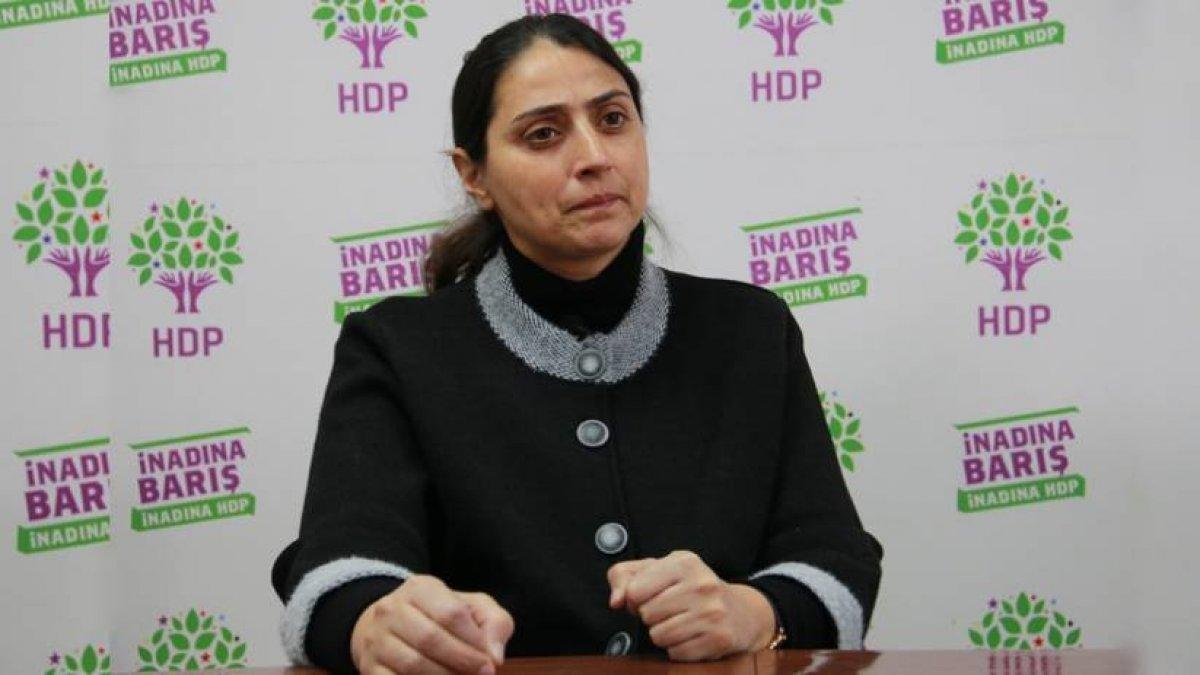 HDP'li Feleknas Uca'dan, AB ve NATO'ya 'Kış Kartalı' çağrısı
