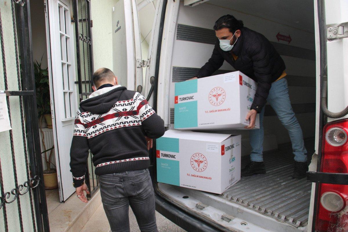 Turkovac’ın yeni serilerinin 81 ile dağıtımı başladı