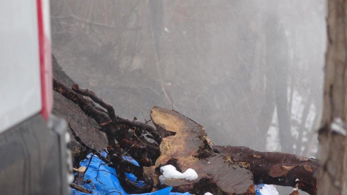 Ordu'da ahşap ev yandı: 8 aylık bebek ve ağabeyi can verdi