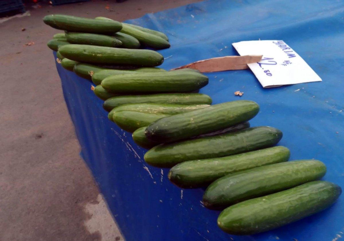 Kayseri pazarlarında salatalığın kilosu 25 lira oldu