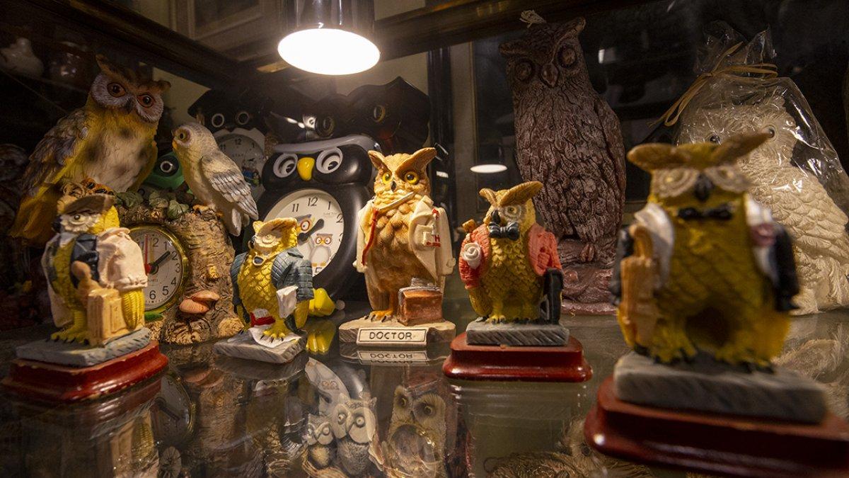 Koleksiyoner Ahmet Çomak, 45 yılda onlarca baykuş figürü topladı