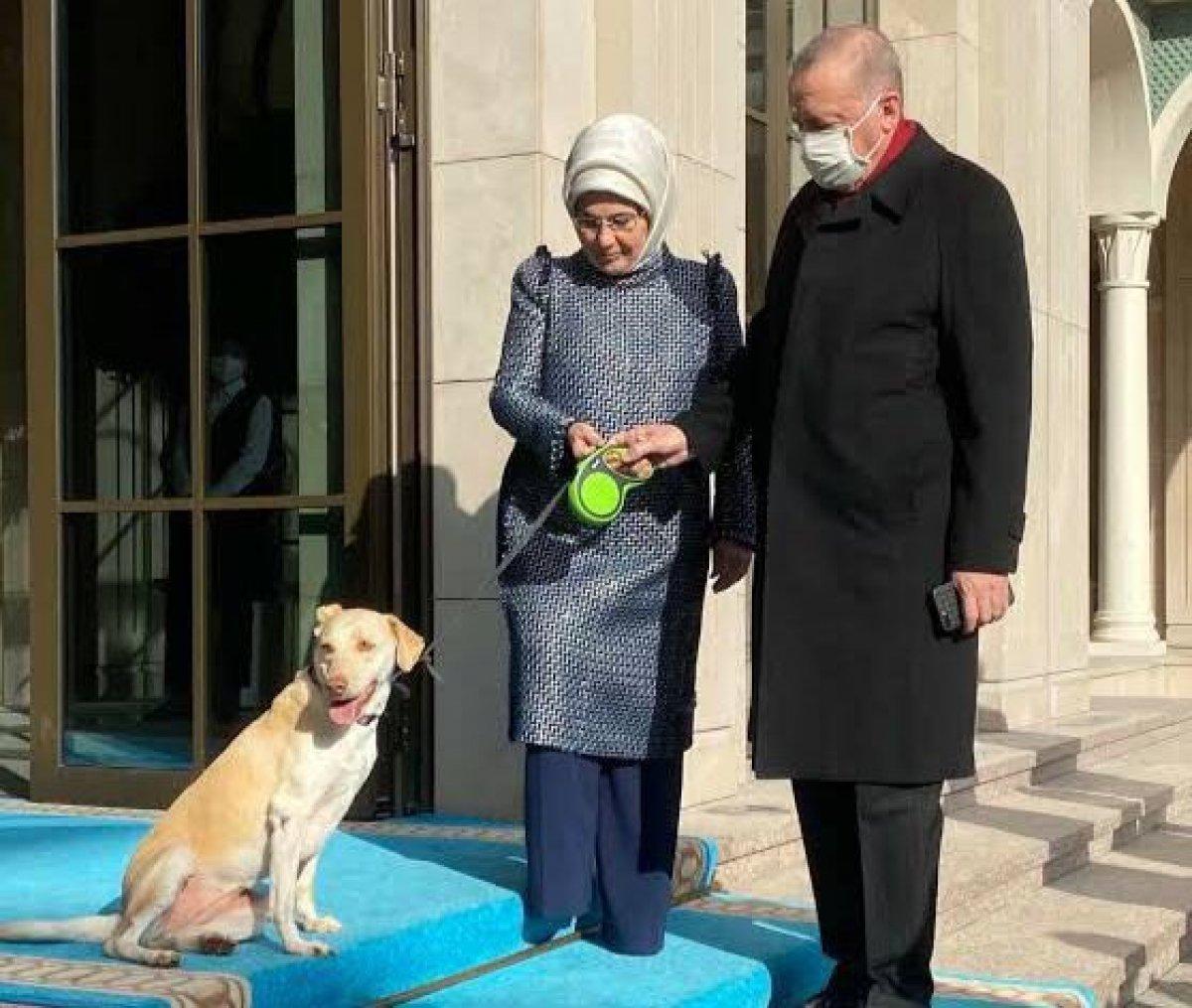 Fahrettin Koca: Cumhurbaşkanı Erdoğan'ın sağlık durumu iyi
