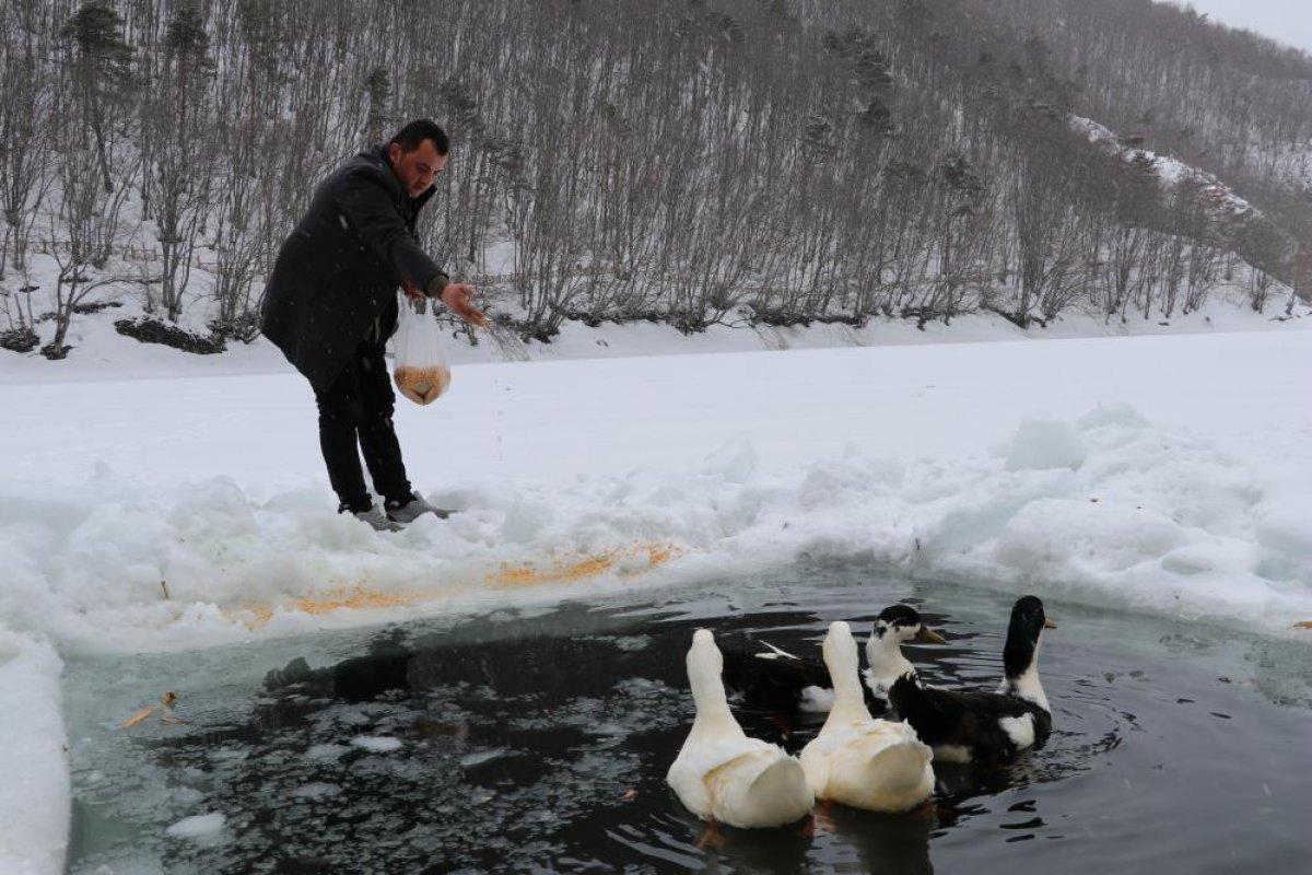 Amasya'nın Boraboy Gölü dondu