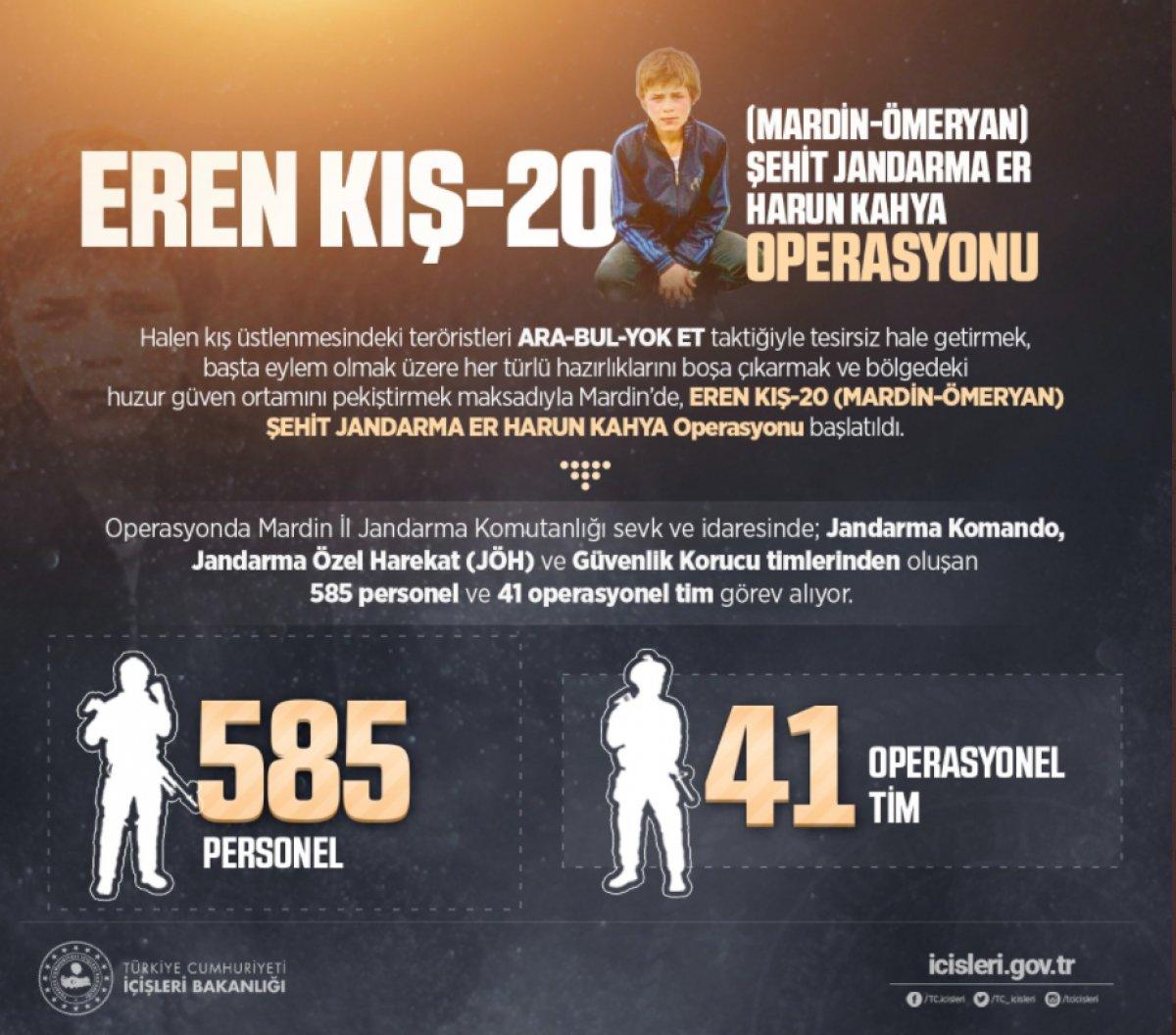 Mardin’de Eren Kış-20 operasyonu başlatıldı