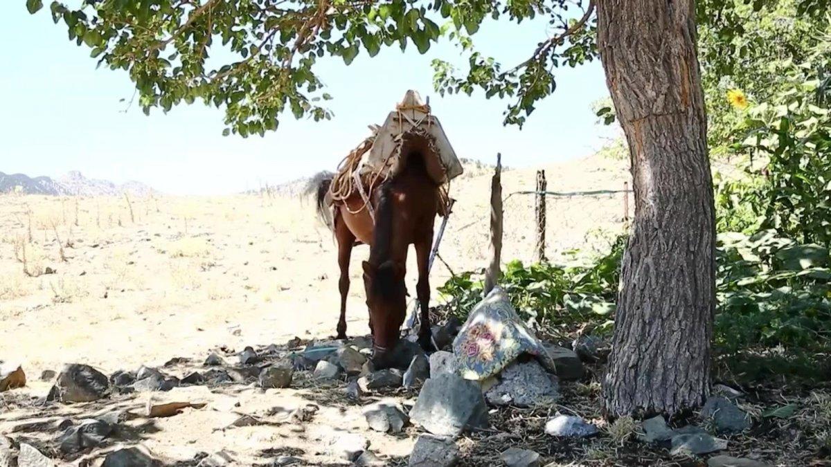 Adana’da çektiği belgeselle 11 ödül aldı