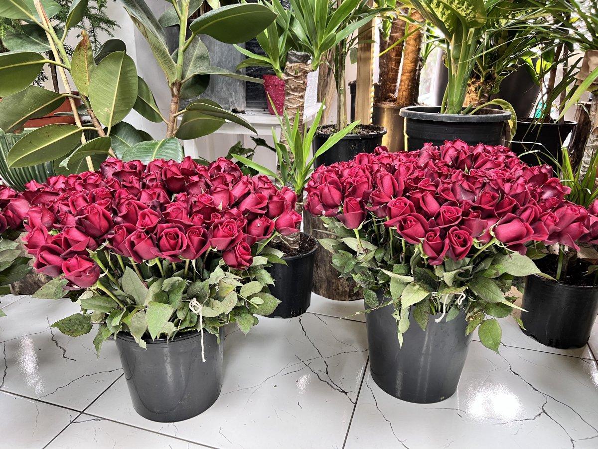 14 Şubat öncesi çiçekçiler hazırlıklarını tamamladı