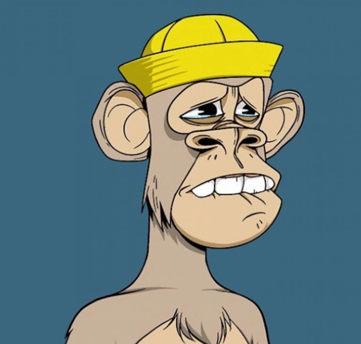 Alman YouTuber, sanal maymun için Lamborghini'sini sattı