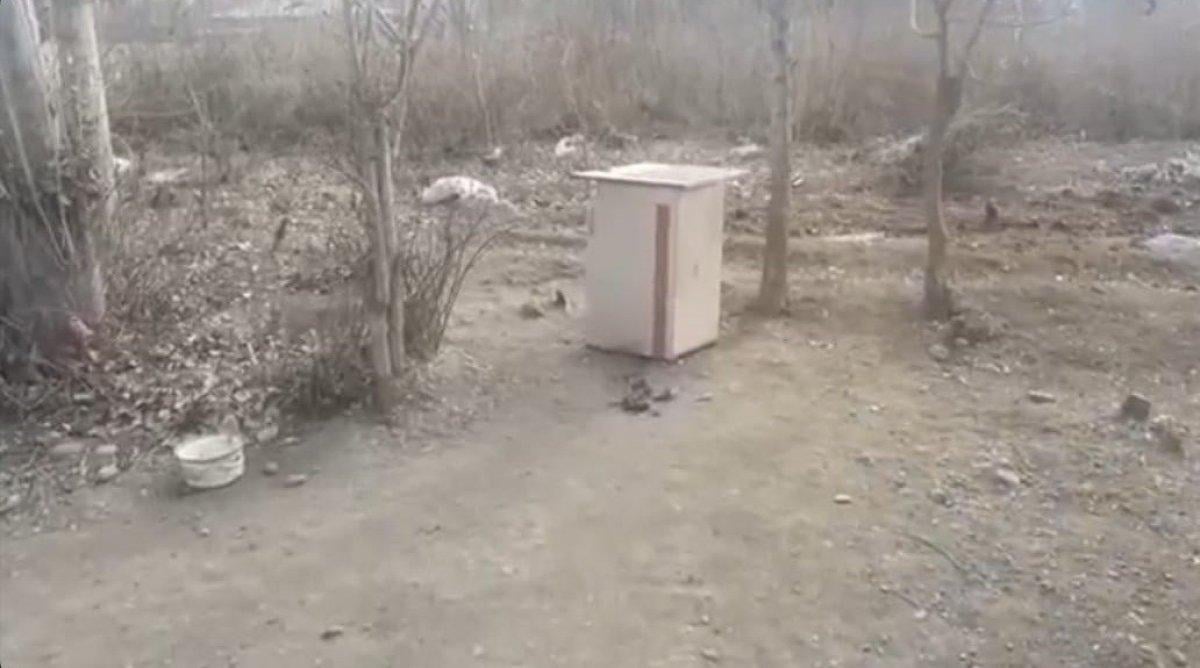 Iğdır'da aç kurt sürüsü, köpeği parçaladı