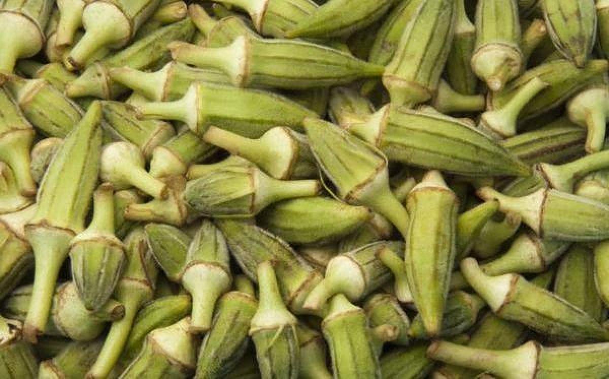 Nam-ı diğer Yeşil Altın: Bamyanın bilinmeyen 5 faydası