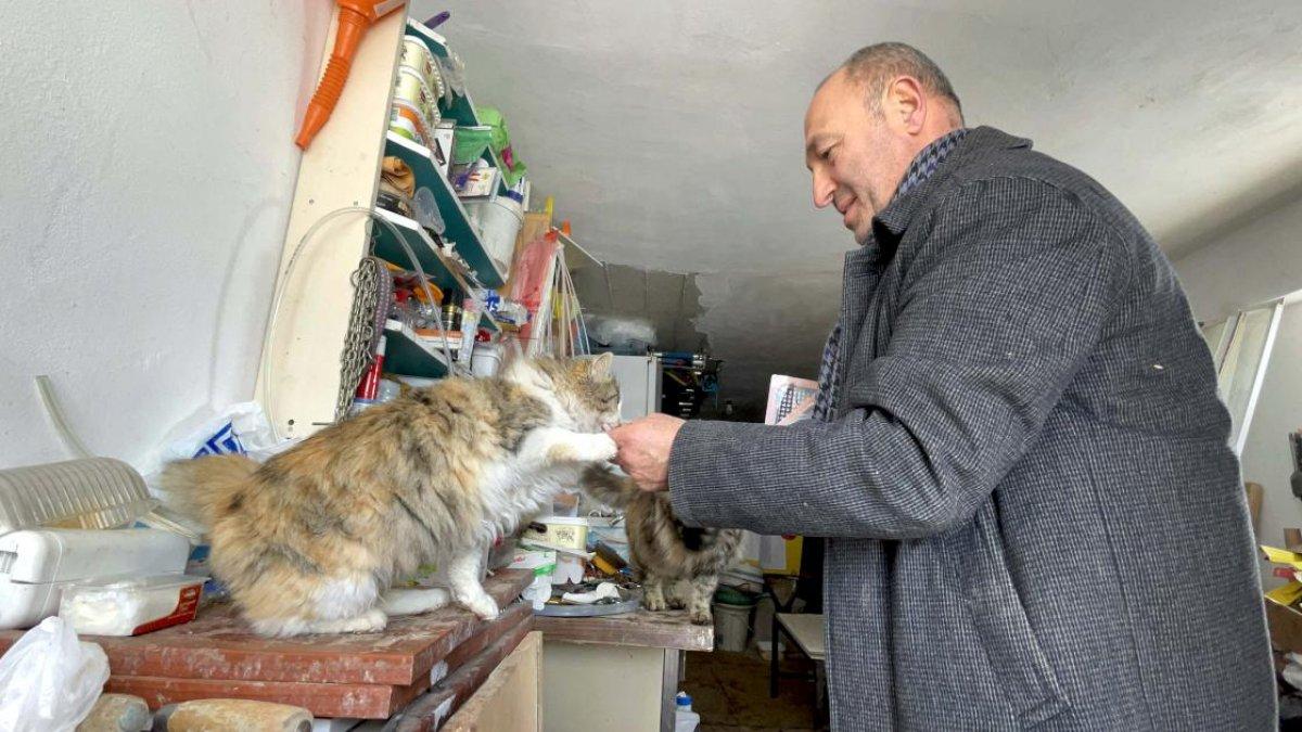 Elazığlı hayvansever, yazlık evini sokak kedilerine açtı