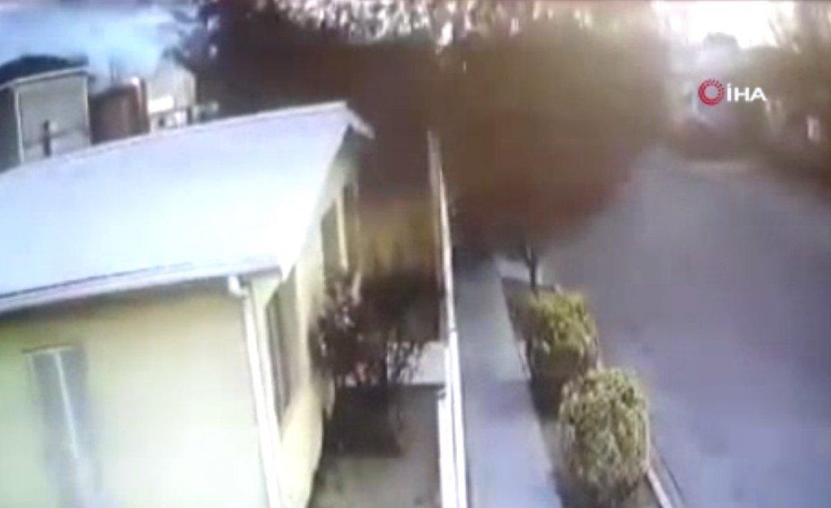 Meksika'da kuş sürüsü yere çakıldı