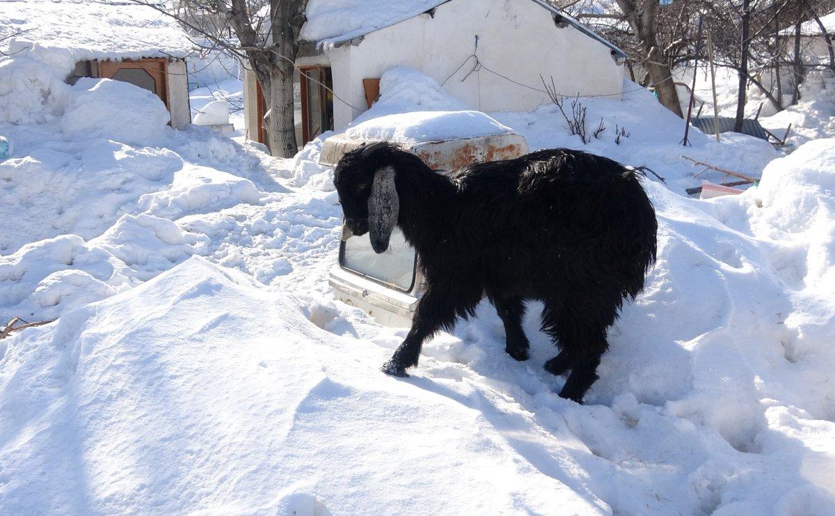 Mersin'de 40 yıl sonra evler kara gömüldü