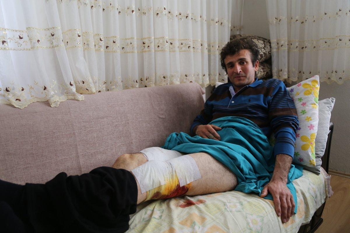 Artvin'de işitme engelliye ayı saldırdı