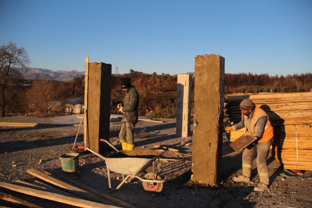 Manavgat yangınının yaraları sarılıyor