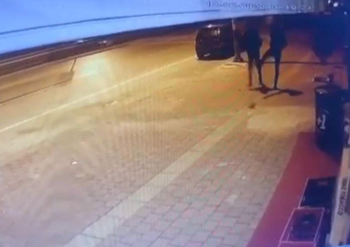 Antalya’da kediyi tekmeleyerek metrelerce havaya uçurdular