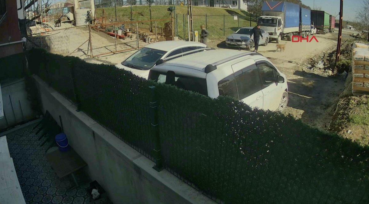 Sultangazi'de pitbull, esnafın köpeğine saldırdı