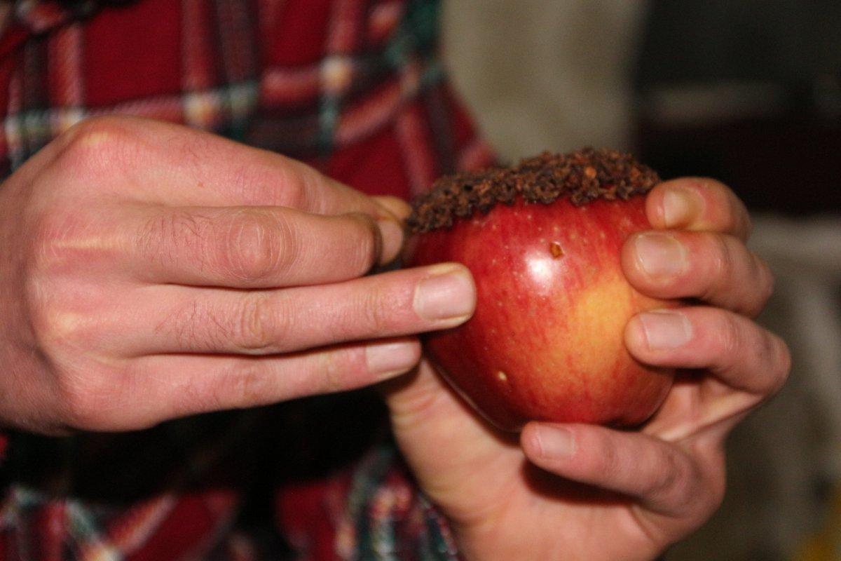 Bitlis'te aşkın sembolü olan karanfil bezeli elma yaptılar