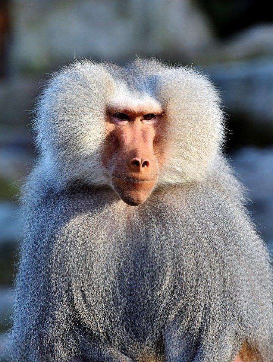 Buket Aydın’ın Sevgililer Günü paylaşımı olay oldu