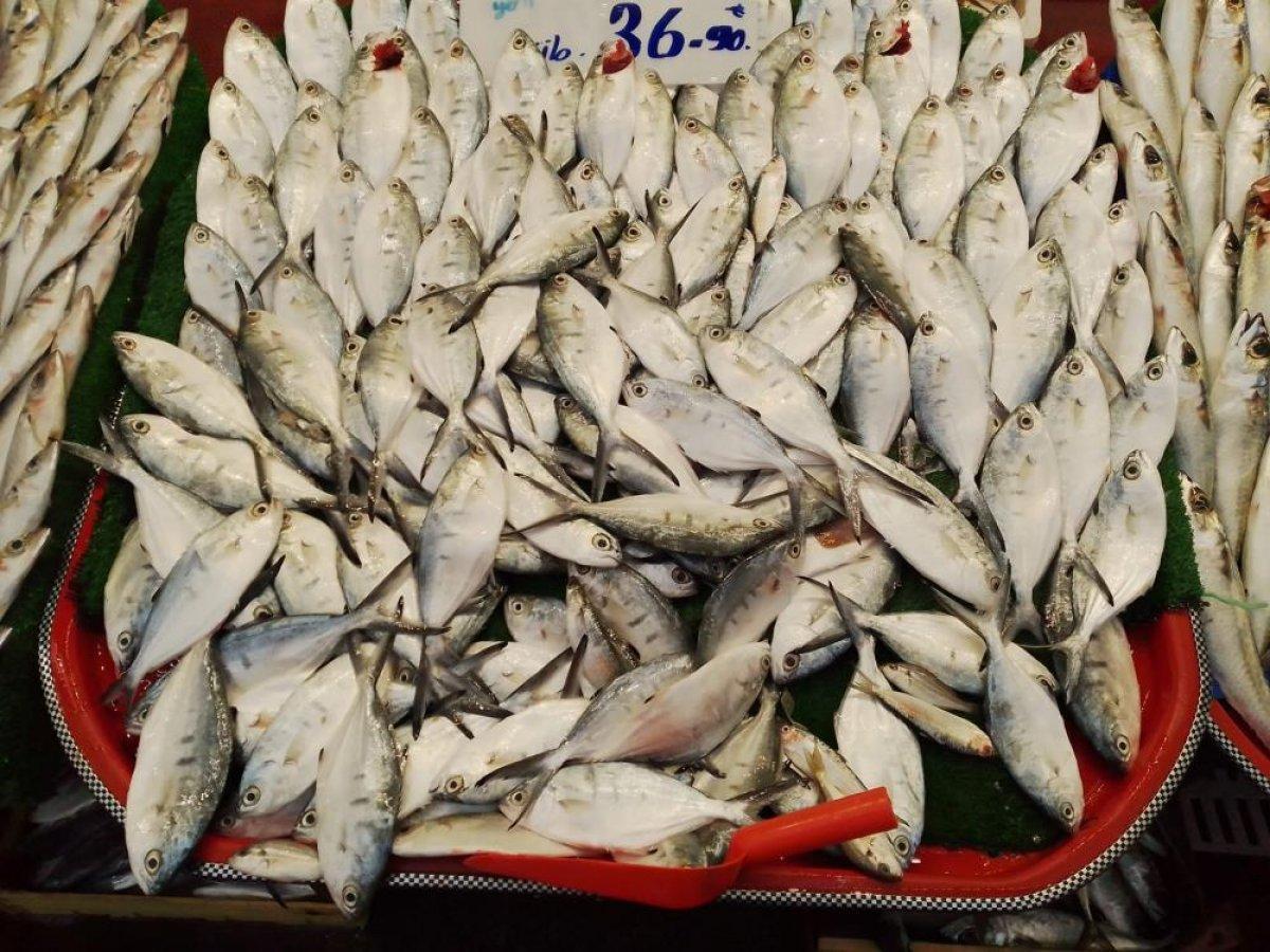 KDV indirimi balık tezgahlarına yansıdı