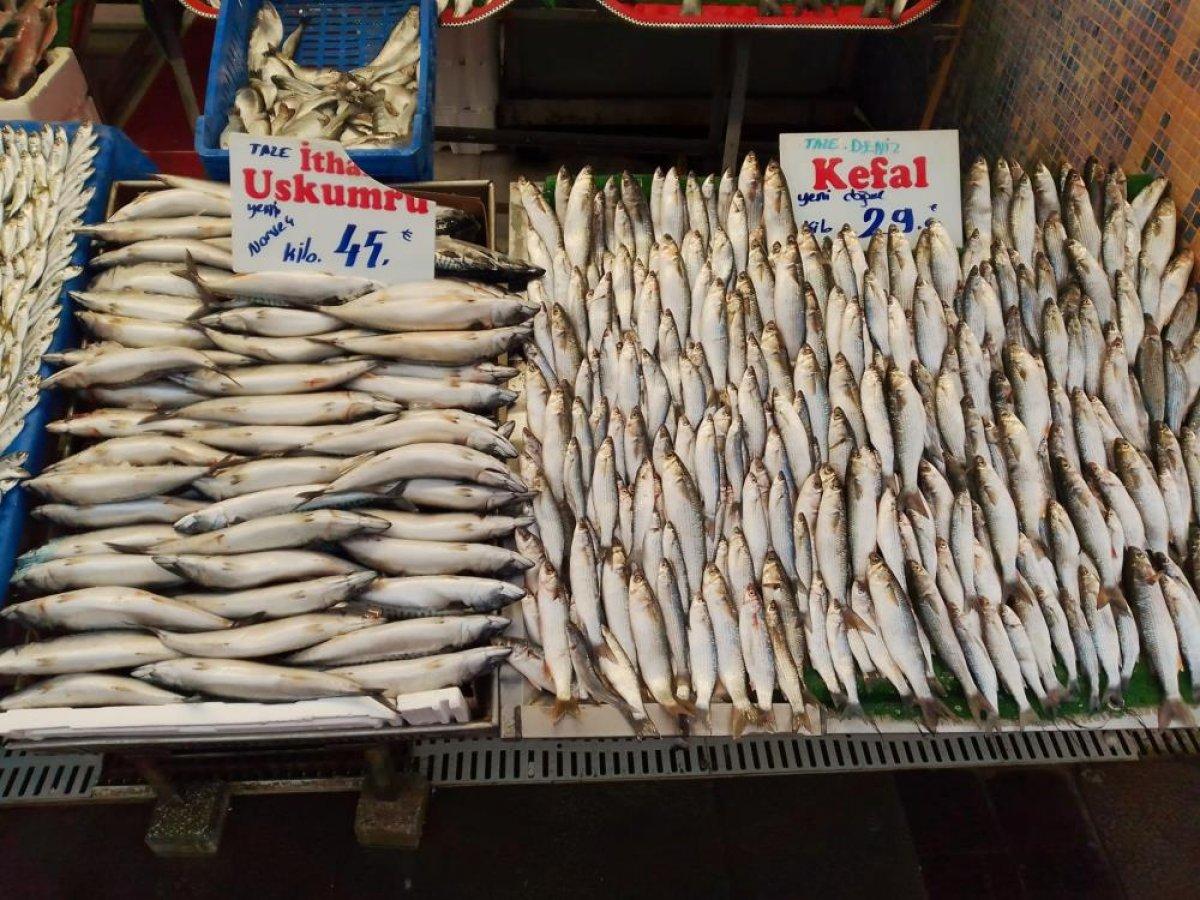 KDV indirimi balık tezgahlarına yansıdı