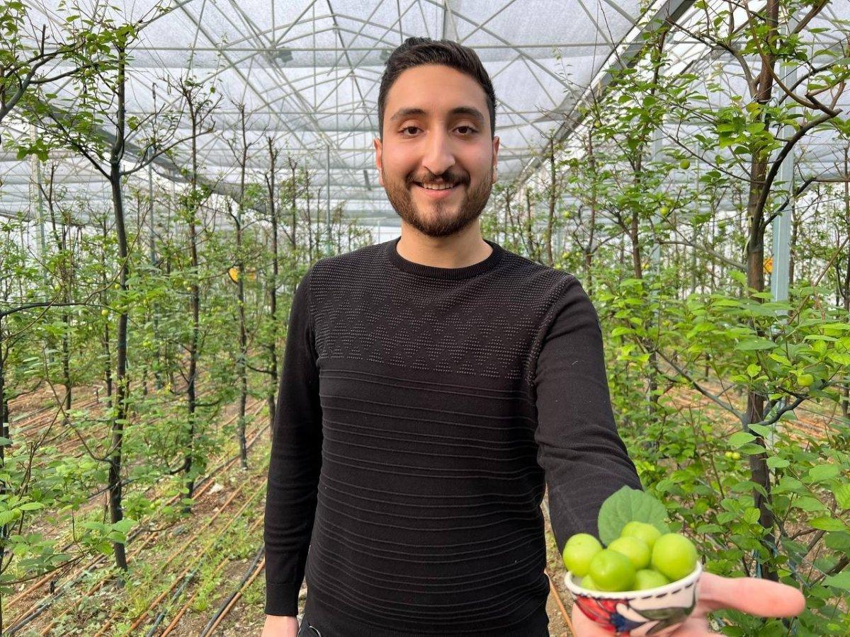 Erikler altın fiyatına