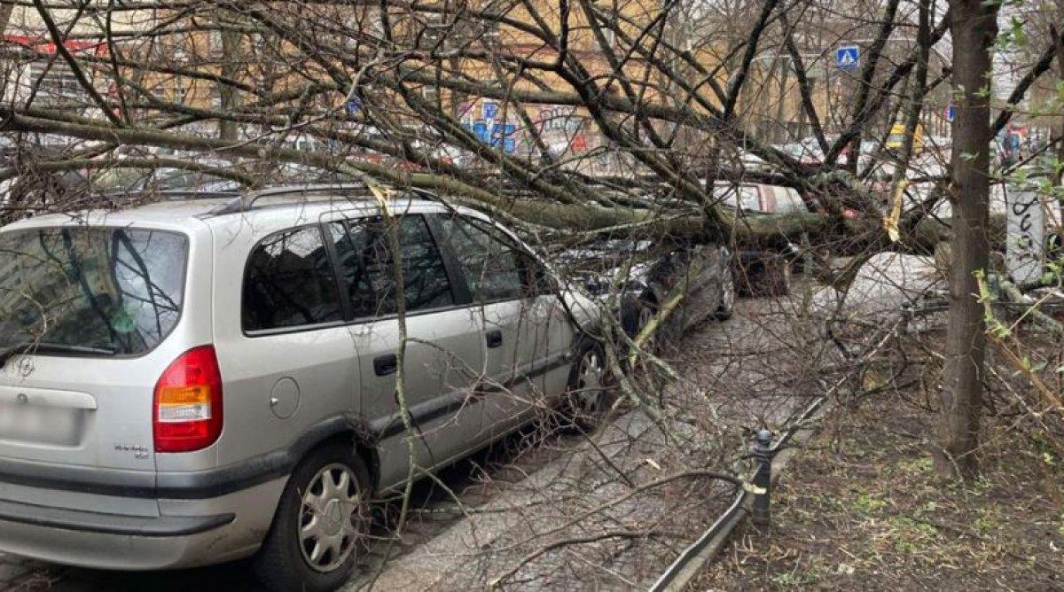 Almanya'da kuvvetli fırtına, can kayıplarına yol açtı