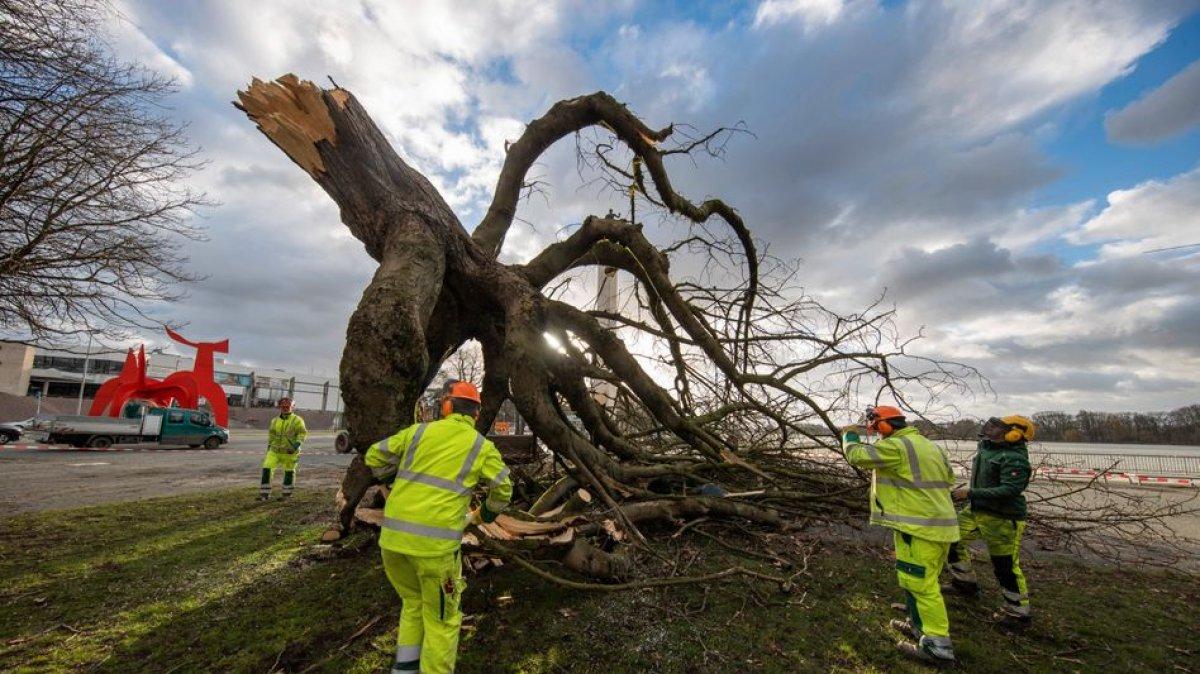 Almanya'da kuvvetli fırtına, can kayıplarına yol açtı