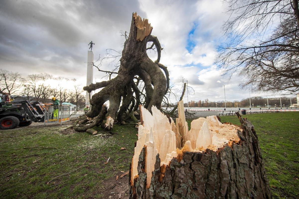Almanya'da kuvvetli fırtına, can kayıplarına yol açtı