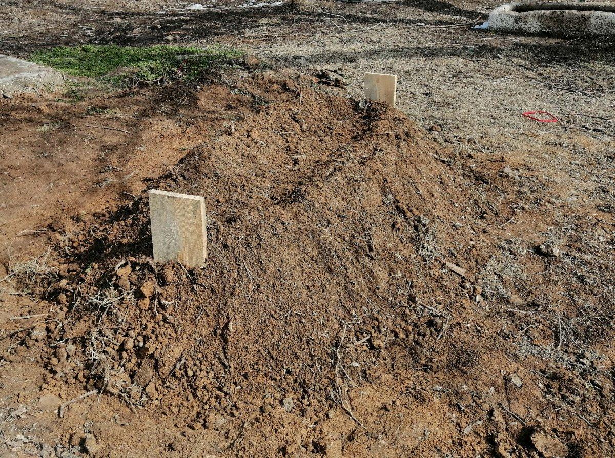 Konya’da dini nikahlı olduğu kadını öldürdü: Küfredince ateş ettim