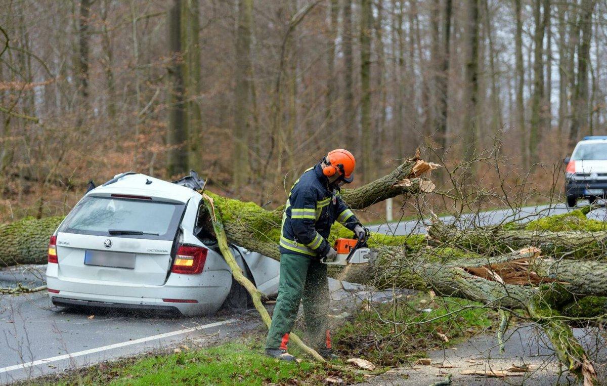 Almanya'da kuvvetli fırtına, can kayıplarına yol açtı