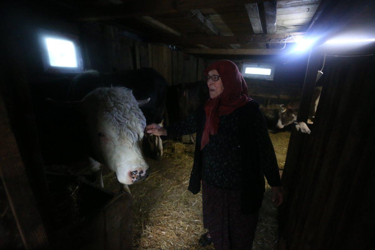 Bursalı esnaf, aradığı huzuru yayla yaşamında buldu