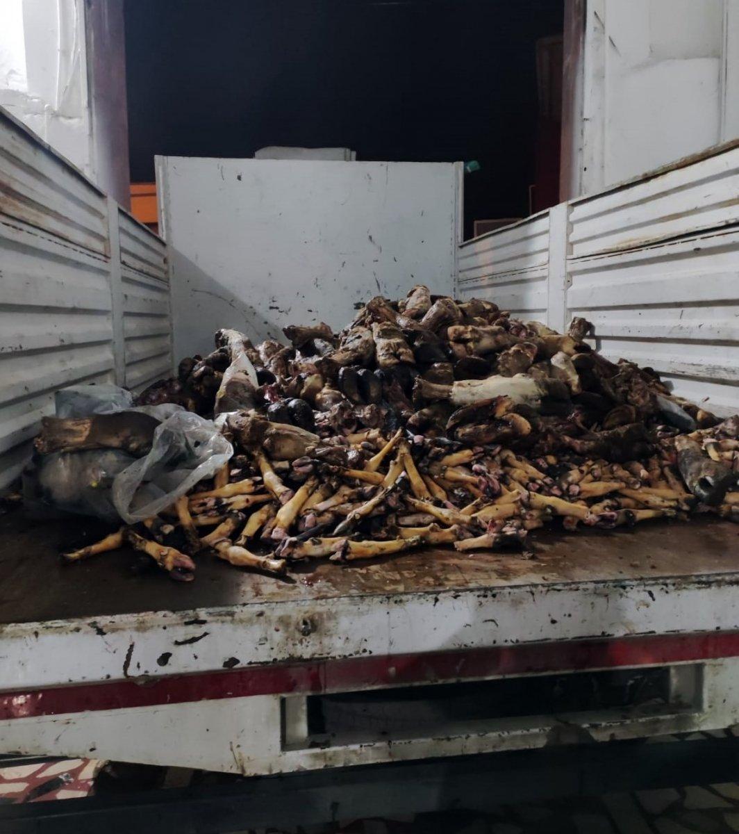 Kayseri'de 5.5 ton sakatat imha edildi