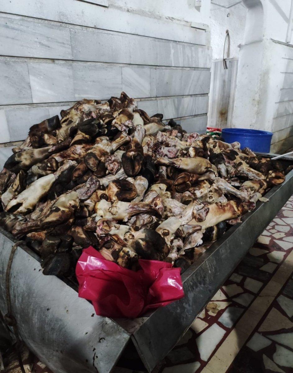 Kayseri'de 5.5 ton sakatat imha edildi