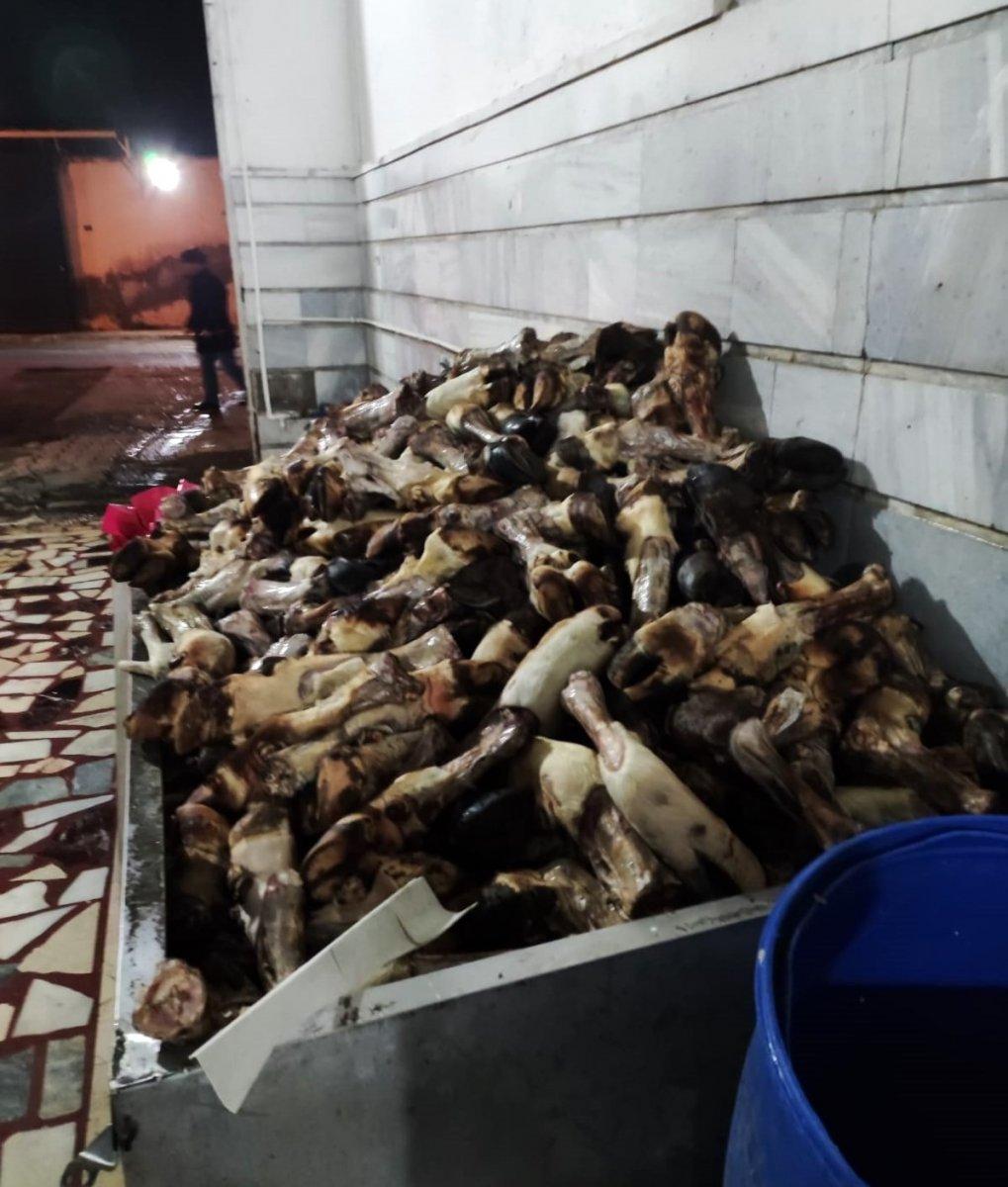 Kayseri'de 5.5 ton sakatat imha edildi