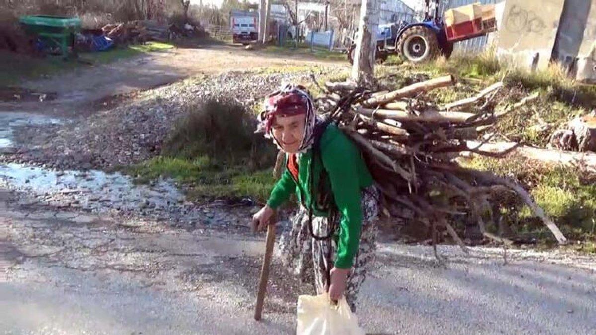 Çanakkaleli Hörü Nine, eşinin ve oğlunun acısıyla dağlarda odun topluyor