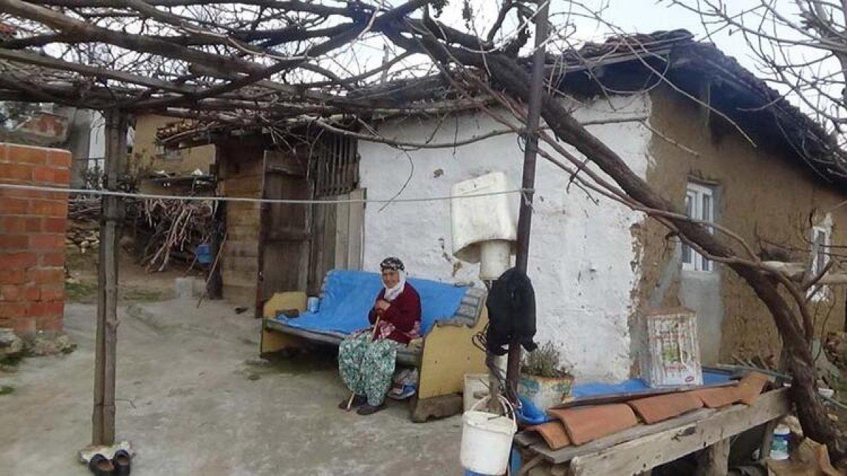 Çanakkaleli Hörü Nine, eşinin ve oğlunun acısıyla dağlarda odun topluyor