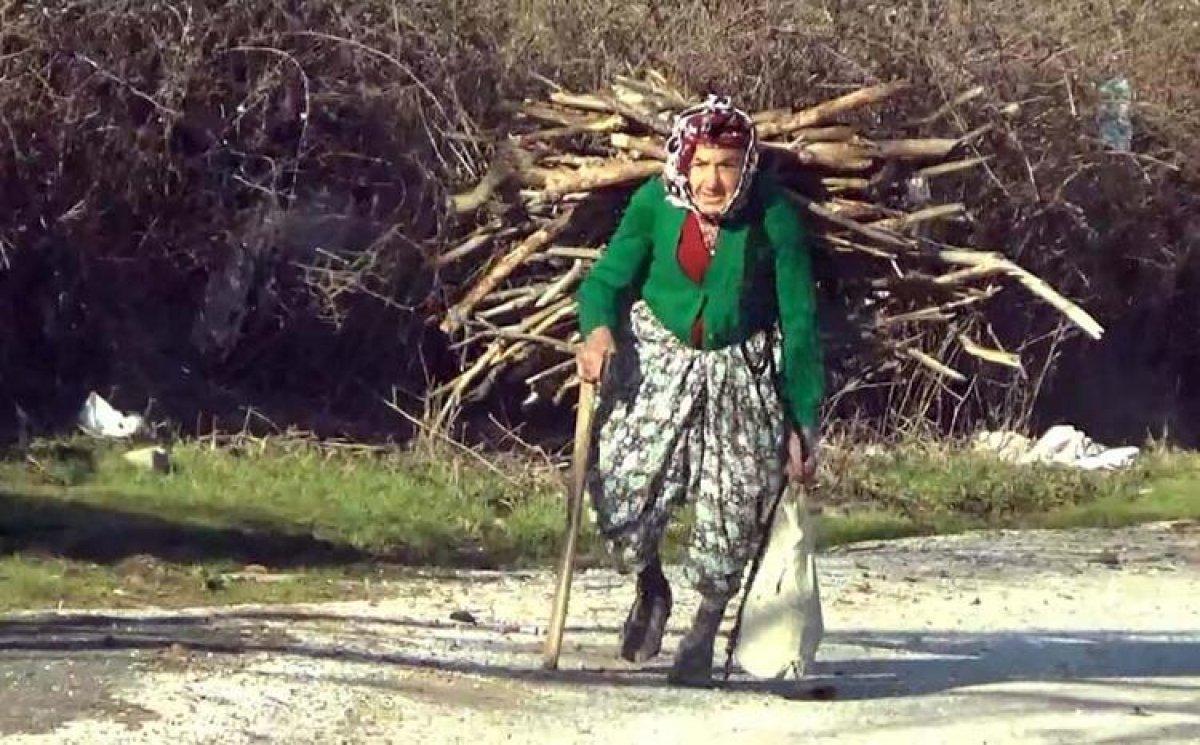 Çanakkaleli Hörü Nine, eşinin ve oğlunun acısıyla dağlarda odun topluyor