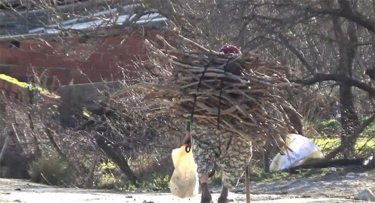 Çanakkaleli Hörü Nine, eşinin ve oğlunun acısıyla dağlarda odun topluyor