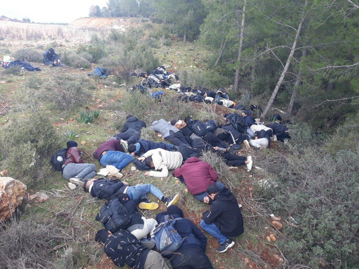 Kaş'ta 88 düzensiz göçmen yakalandı