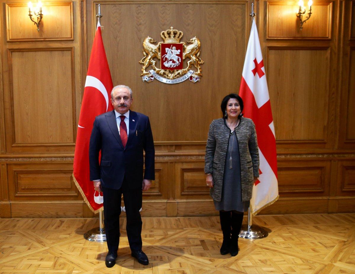 Mustafa Şentop Gürcistan'da