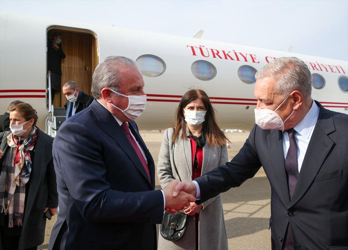 Mustafa Şentop Gürcistan'da