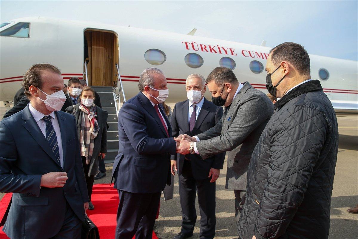 Mustafa Şentop Gürcistan'da