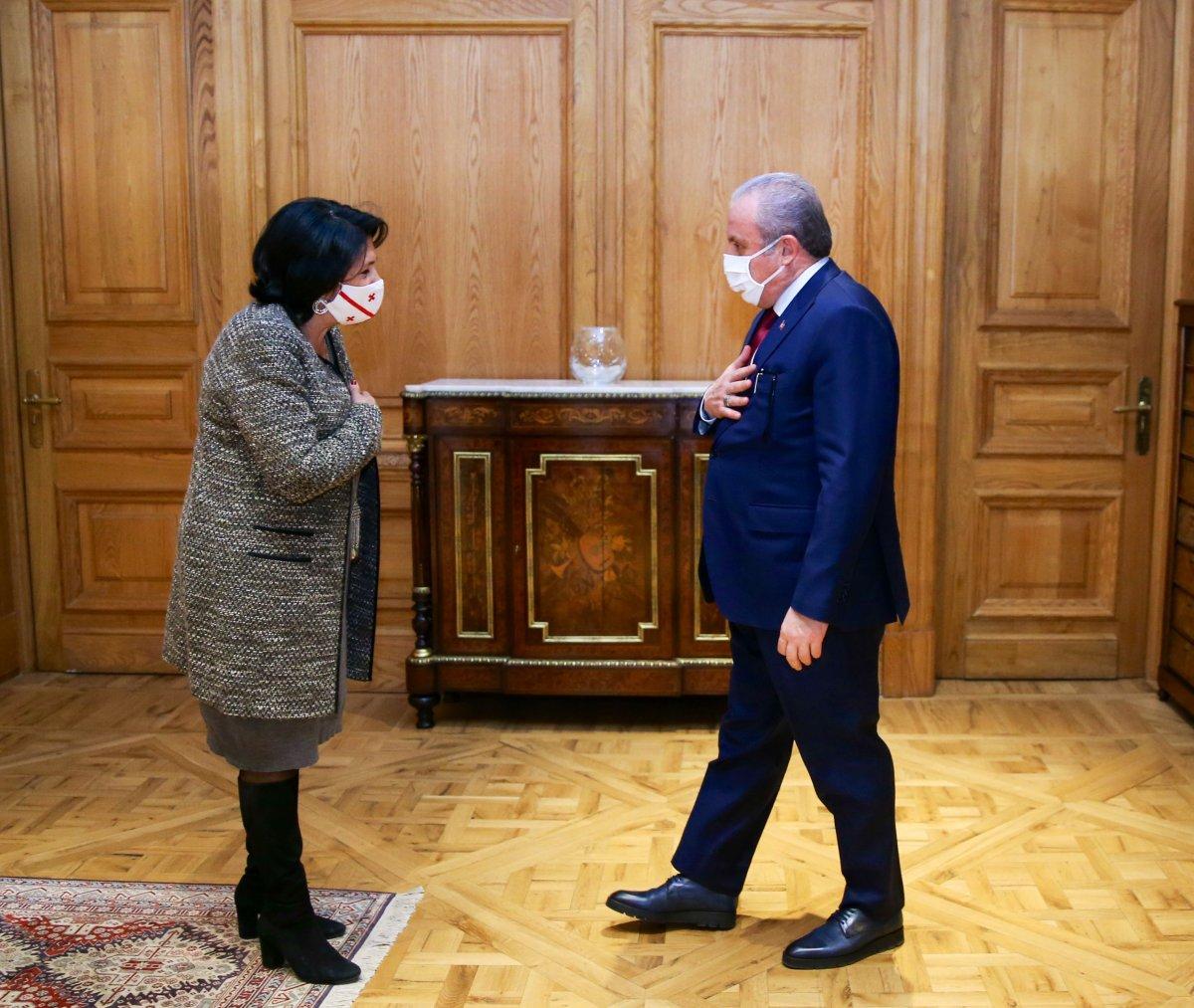 Mustafa Şentop Gürcistan'da